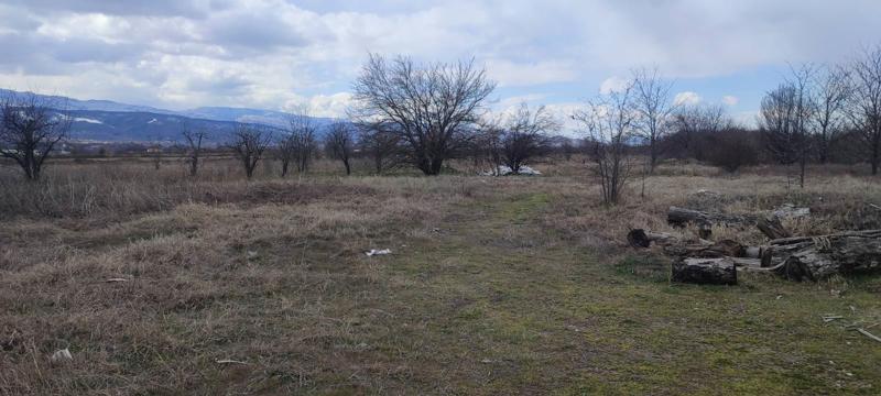 For Sale  Plot Plovdiv , Industrialna zona - Yug , 15000 sq.m | 41328246 - image [5]