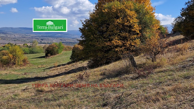 Продава ПАРЦЕЛ, гр. Перник, Кошаревска махала, снимка 2 - Парцели - 52101414