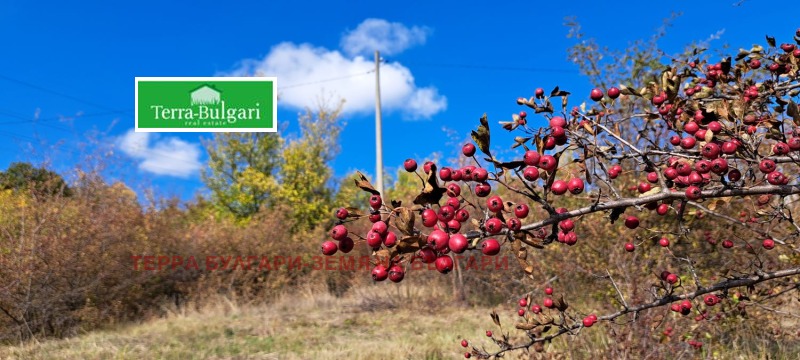 Продава ПАРЦЕЛ, гр. Перник, Кошаревска махала