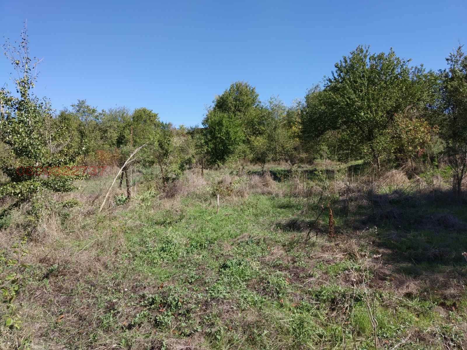 Продава ПАРЦЕЛ, с. Омарчево, област Шумен