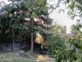 Продава КЪЩА, област Перник, с. Касилаг • 80000 € • 27688587 — Holmes.bg