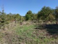 Продава ПАРЦЕЛ, област Шумен, с. Омарчево • 12000 € • 32469339 1