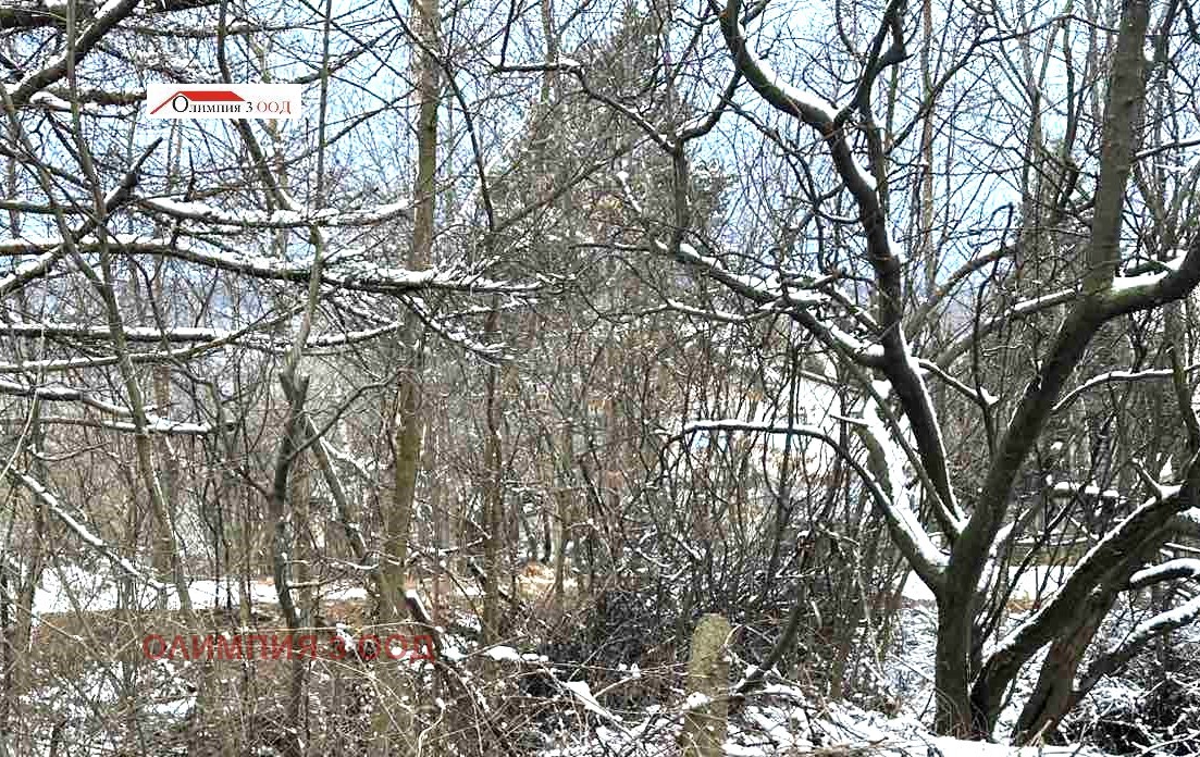 ������� ������ | Imot.bg � ����������� 3