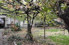 ����� ������� ����,���� �����, ����������