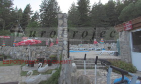 ������ ������� ����