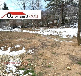 ������ ������� ������