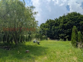 Plot Zheleznitsa, Sofia