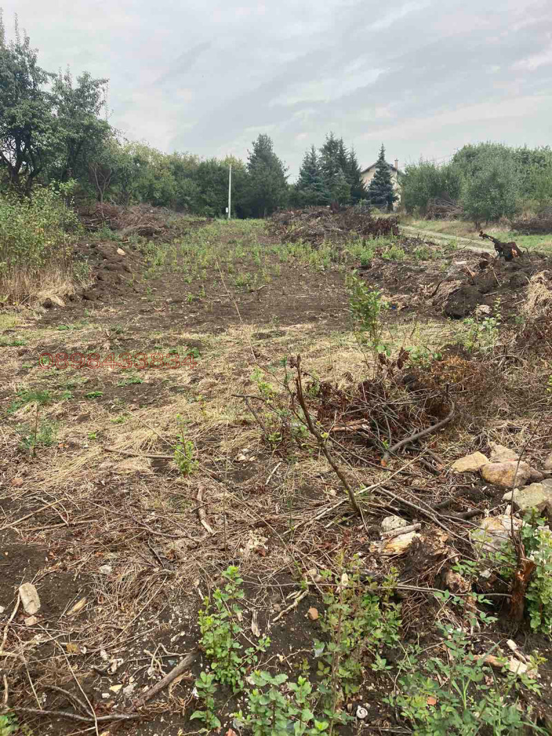 Продава ПАРЦЕЛ, с. Големо Бучино, област Перник