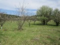 Продава ПАРЦЕЛ, град София, с. Войнеговци • 849000 € • 66690519 — Holmes.bg