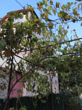 ������� ���� �� ���� | Imot.bg � ����� ������ 17