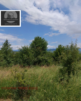 ПАРЦЕЛ, 5 000 m2