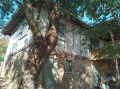 Продава КЪЩА, с. Ослен Криводол, област Враца, снимка 16