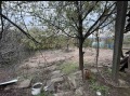 Продава КЪЩА, област Ловеч, с. Врабево • 60000 € • 37049789 — Holmes.bg