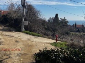 ����� ������� ������,���� �����, ����� ������