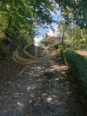 ����� ������� ������,��. �����, ������ ������