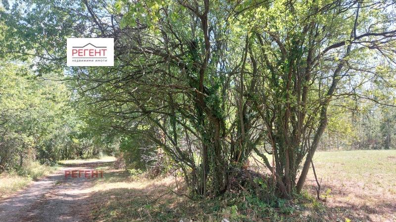 For Sale  Plot region Gabrovo , Zdravkovets , 3300 sq.m | 51197253 - image [7]