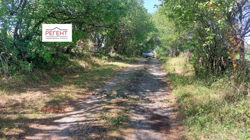 For Sale  Plot region Gabrovo , Zdravkovets , 3300 sq.m | 51197253 - image [8]