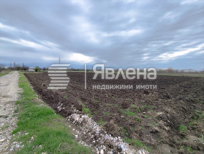 Na prodej  Spiknutí Plovdiv , Industrialna zona - Iztok , 5998 m2 | 85339892 - obraz [5]