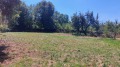 Продава ПАРЦЕЛ, с. Здравковец, област Габрово, снимка 2
