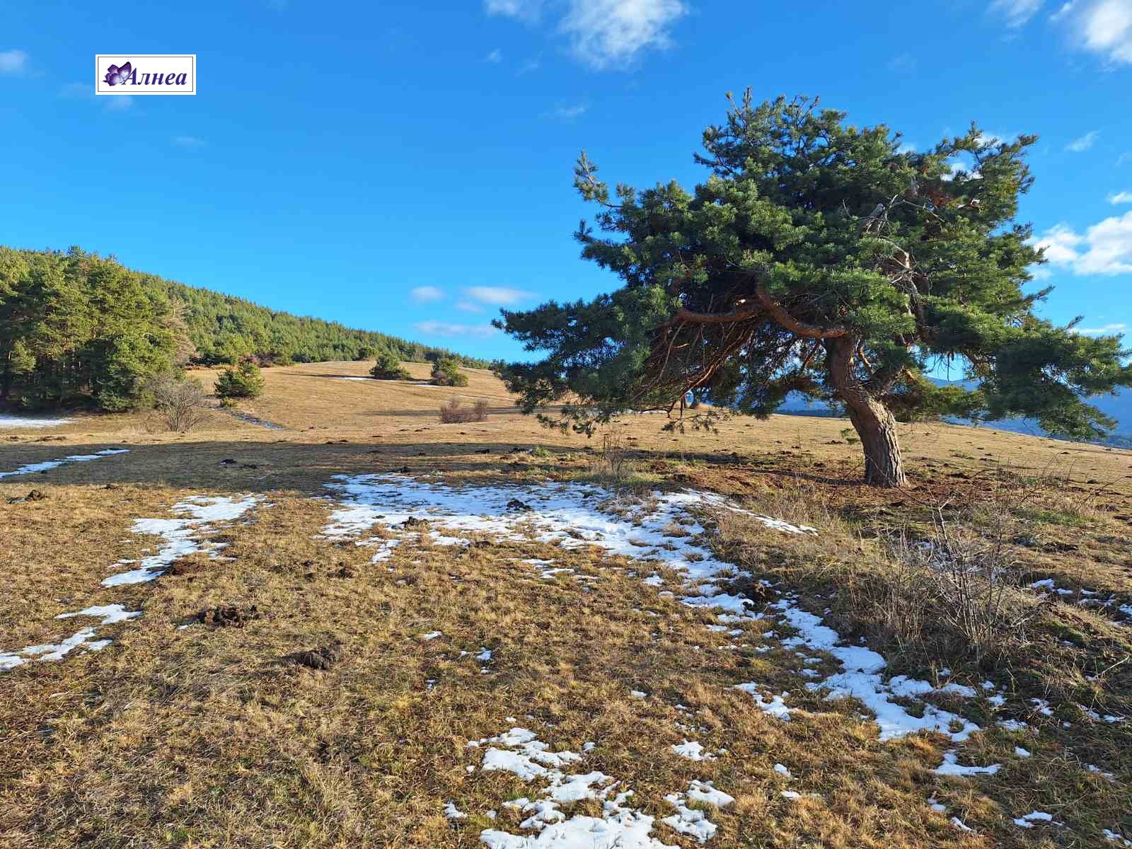 ������� ������ | Imot.bg � ����������� 10