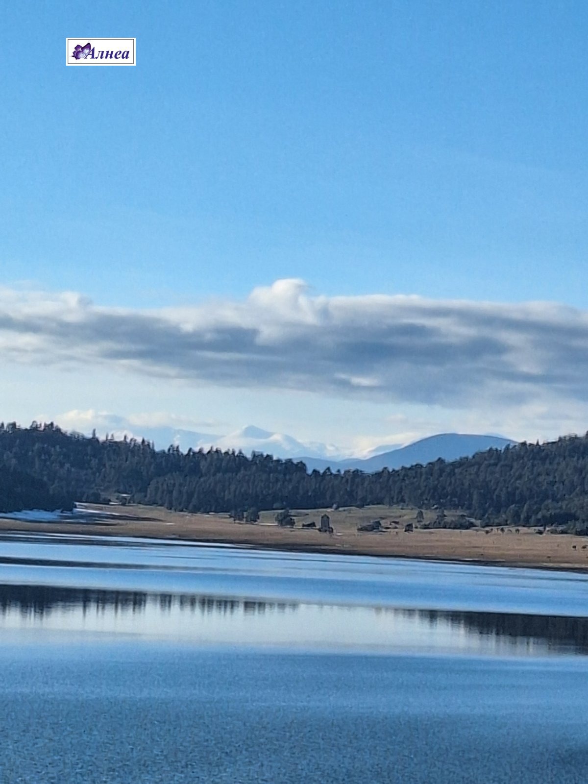 ������� ������ | Imot.bg � ����������� 7