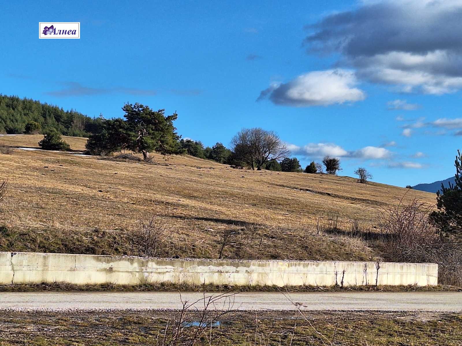 ������� ������ | Imot.bg � ����������� 5