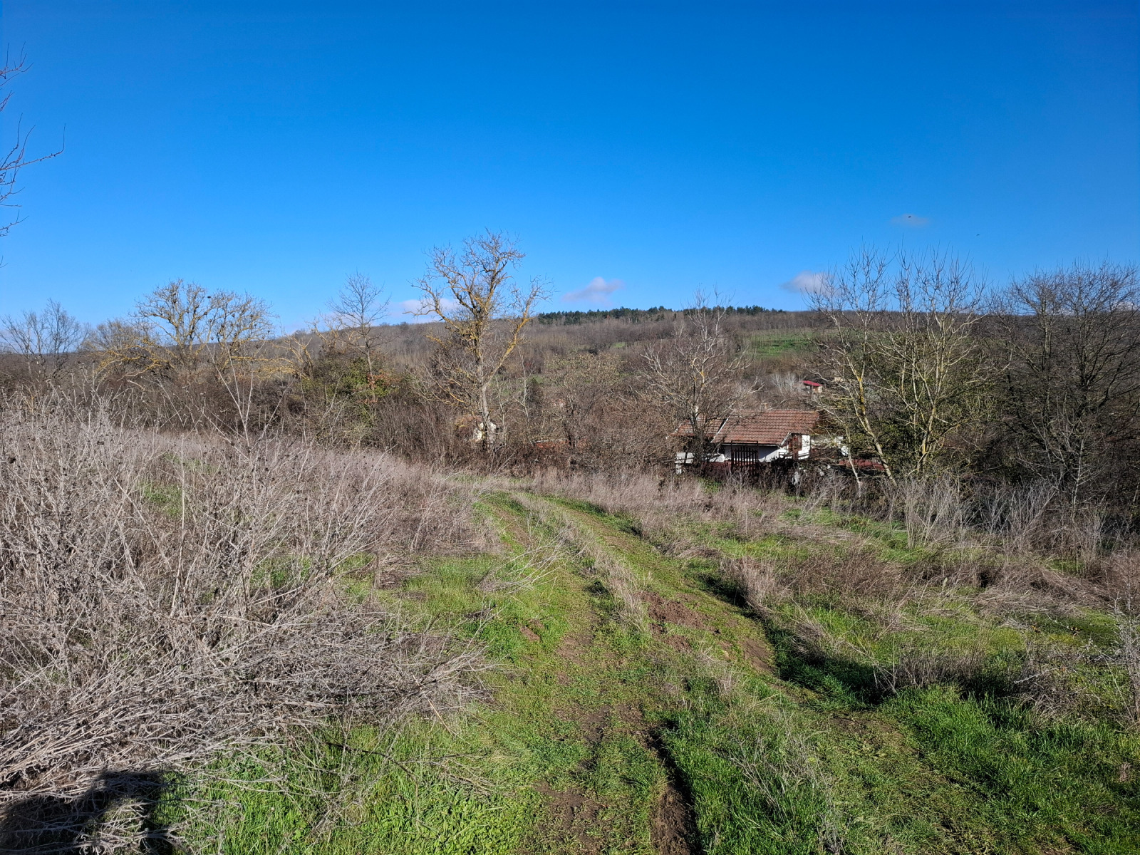 ������� ���������� ���� | Imot.bg � ����������� 5