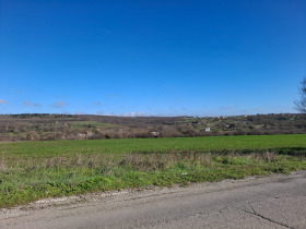 ����� ������� ���������� ����,�. ������, ������ �����