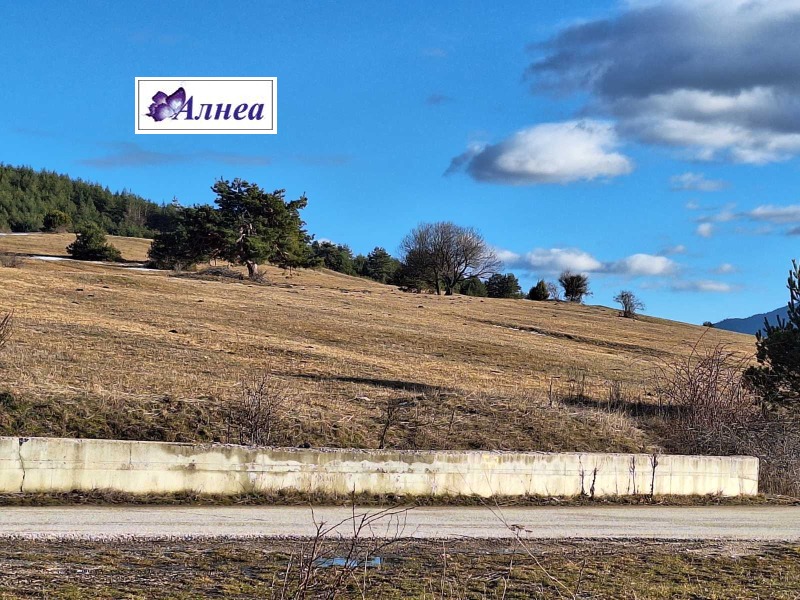 Продава ПАРЦЕЛ, яз. Батак, област Пазарджик, снимка 4 - Парцели - 52196055