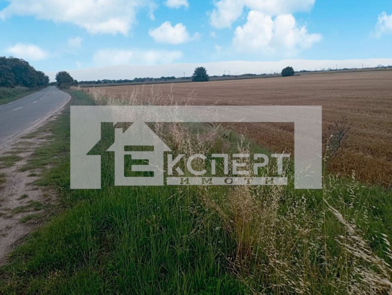 Te koop  Land regio Plovdiv , Rogosj , 10 dka | 60685116 - afbeelding [2]