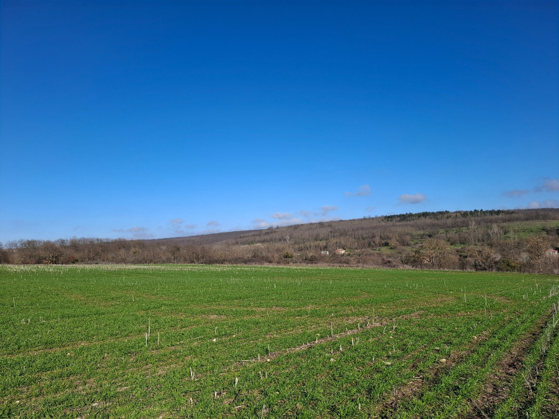 Продава ЗЕМЕДЕЛСКА ЗЕМЯ, с. Садово, област Варна, снимка 5 - Земеделска земя - 52751607