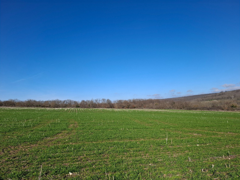 Продава ЗЕМЕДЕЛСКА ЗЕМЯ, с. Садово, област Варна, снимка 3 - Земеделска земя - 52751607