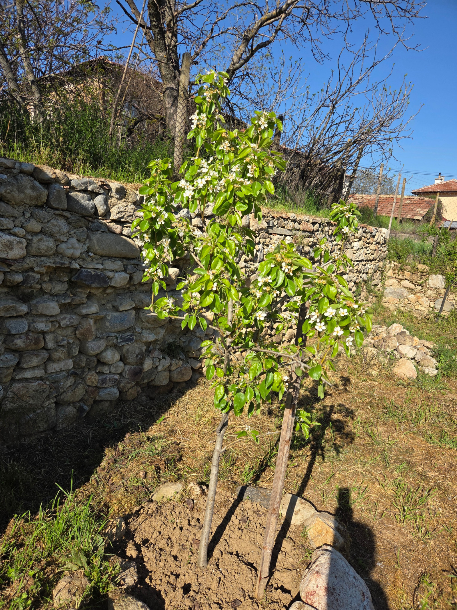 ������� ���� | Imot.bg � ����������� 2