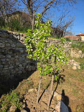 ������� ���� | Imot.bg � ����� ������ 2