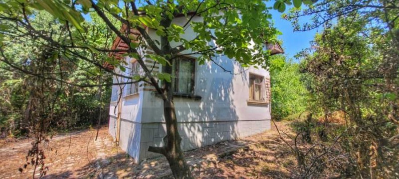 Na sprzedaż  Dom region Widin , Rabrowo , 90 mkw | 63938694 - obraz [4]