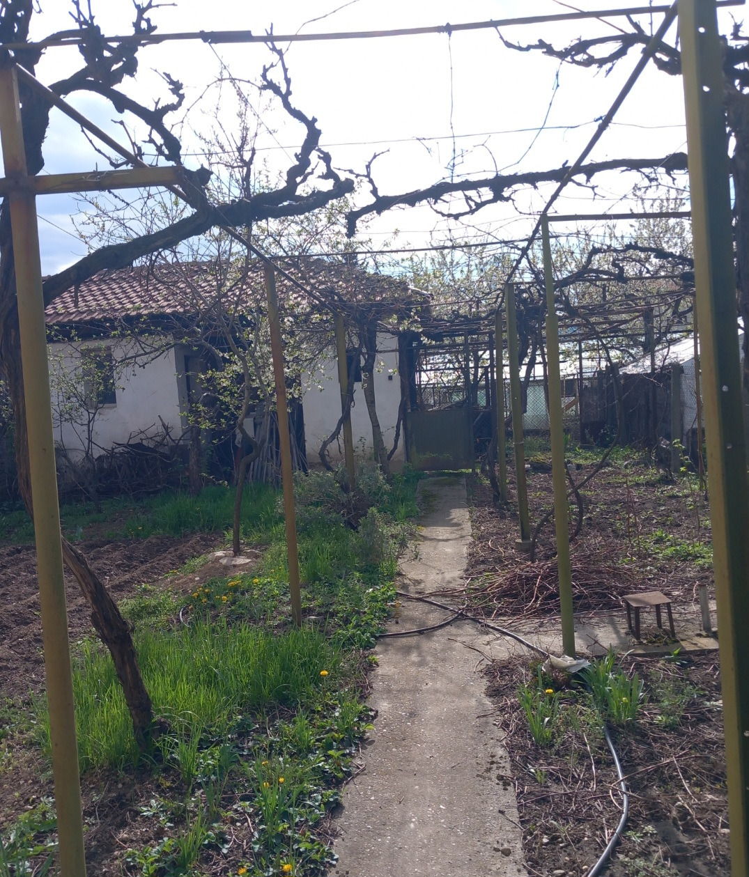 ������� ���� | Imot.bg � ����������� 16