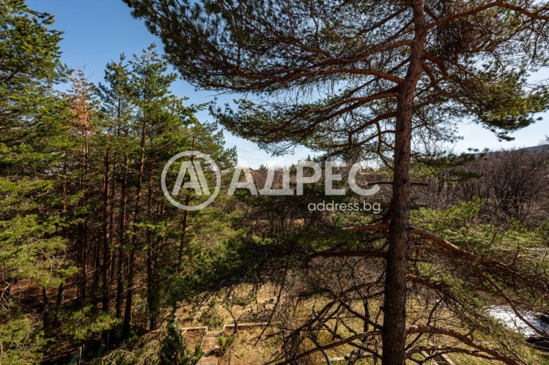 Продава КЪЩА, с. Бойково, област Пловдив, снимка 12 - Къщи - 49643697