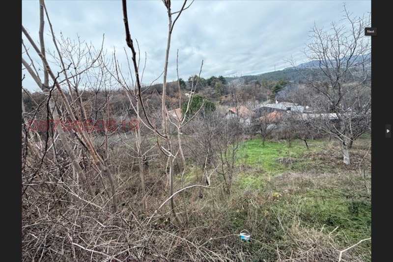 Продава ПАРЦЕЛ, гр. Кърджали, Прилепци, снимка 3 - Парцели - 53172537