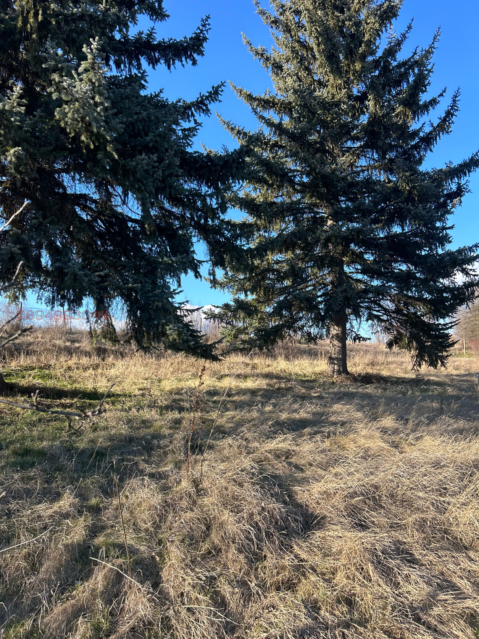 ������� ������ | Imot.bg � ����������� 2