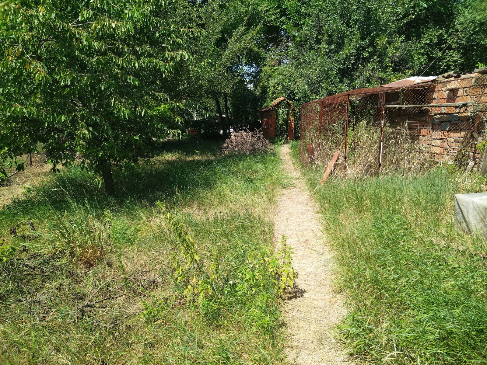 Продава КЪЩА, с. Драгичево, област Перник, снимка 5 - Къщи - 55689916