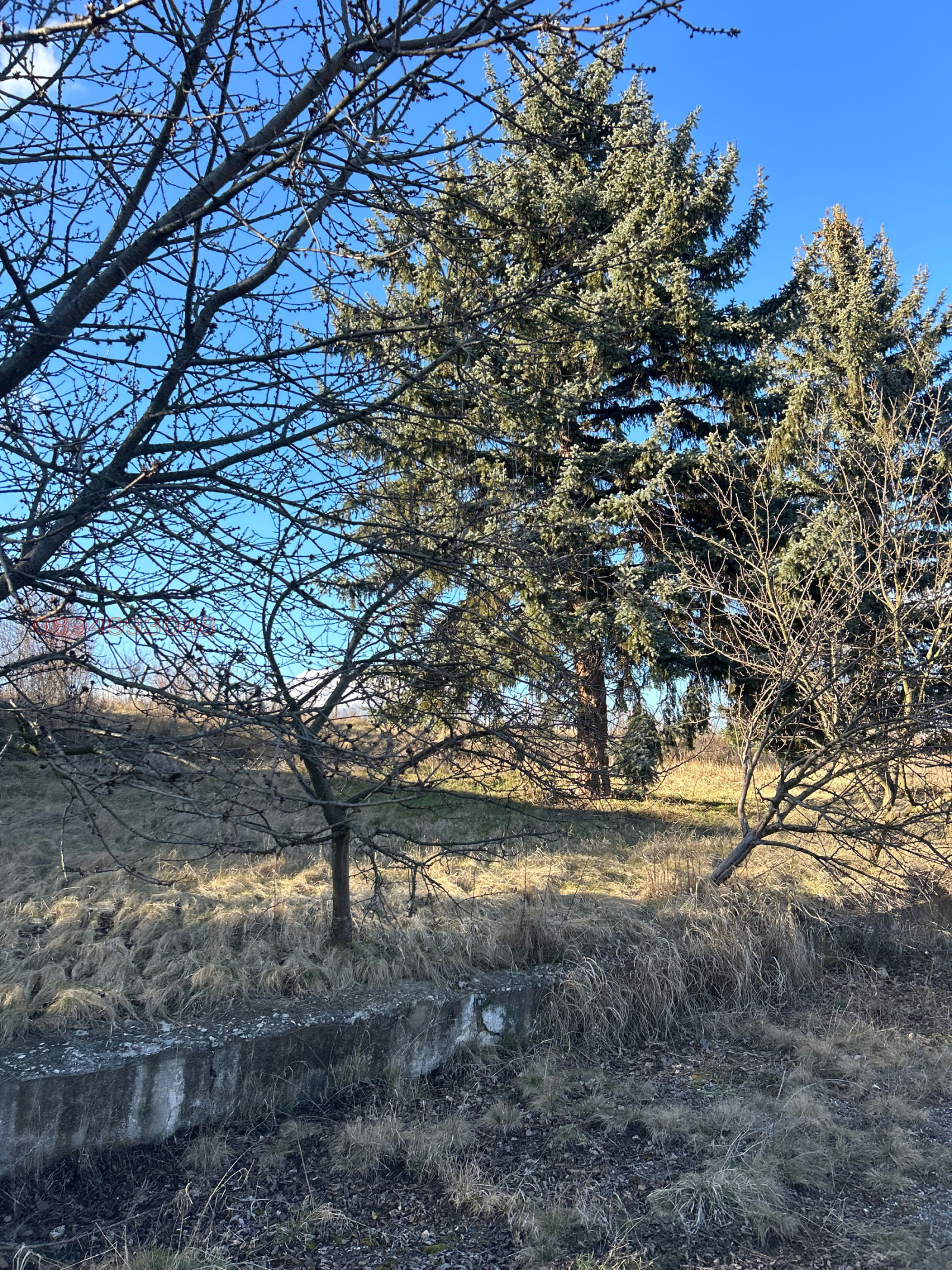 Продава ПАРЦЕЛ, с. Мещица, област Перник, снимка 4 - Парцели - 53623900