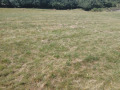 Продава  Парцел област София , с. Свидня , 800 кв.м | 11770947 - изображение [5]