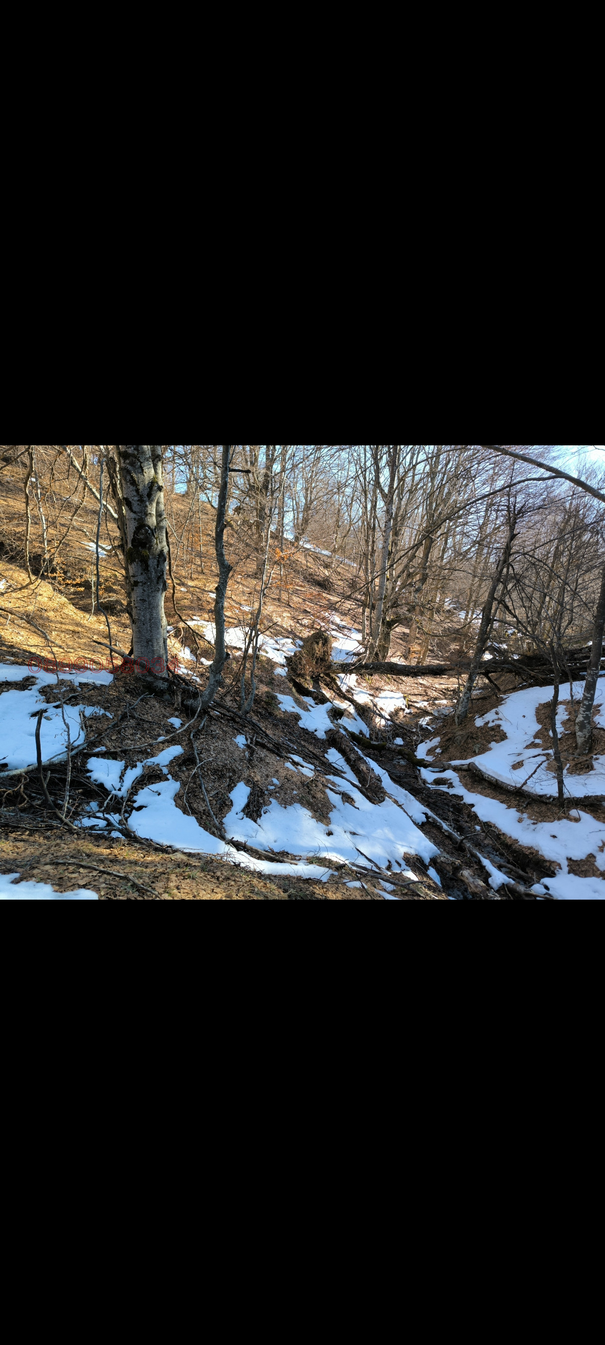 ������� ������ | Imot.bg � ����������� 3