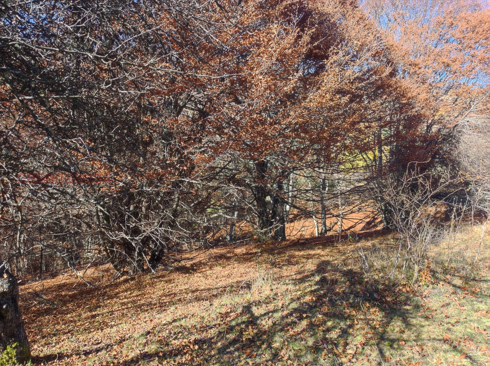 ������� ������ | Imot.bg � ����������� 8