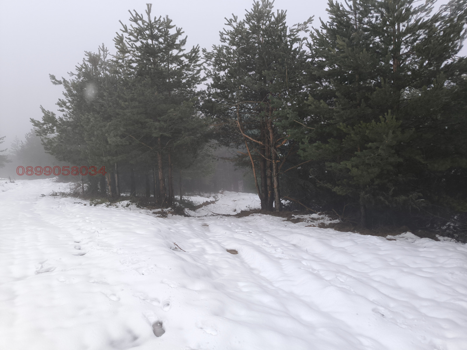 ������� ������ | Imot.bg � ����������� 9