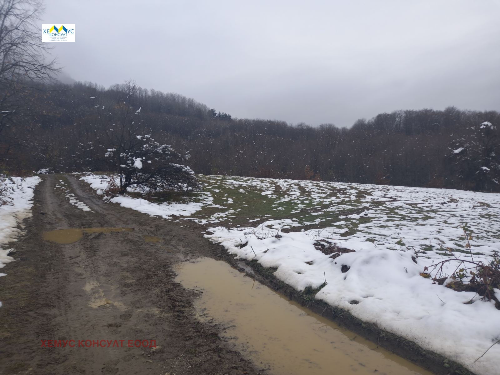 ������� ������ | Imot.bg � ����������� 5