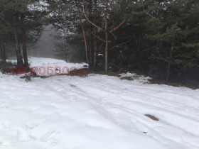 ������� ������ | Imot.bg � ����� ������ 10