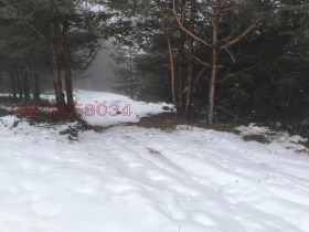 ������� ������ | Imot.bg � ����� ������ 11