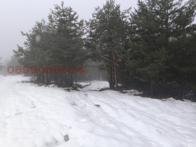 ������� ������ | Imot.bg � ����� ������ 9