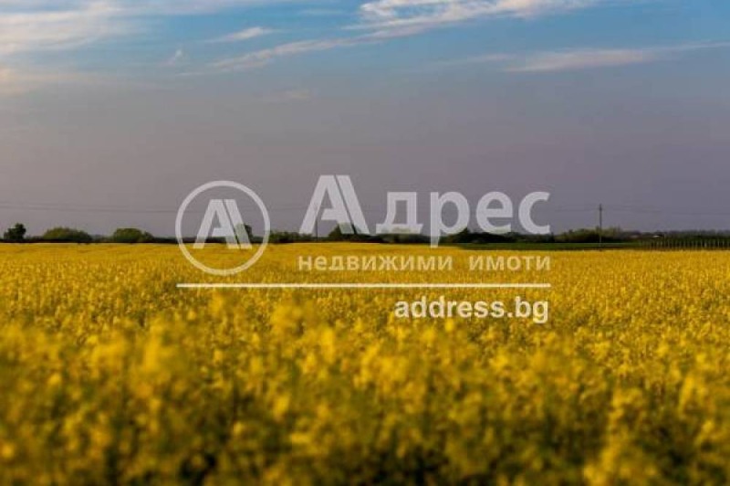 Продаја  Плот Софија , Долни Богров , 2399 м2 | 87621444